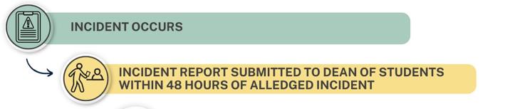 Code of Conduct process 1
